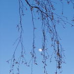 moon